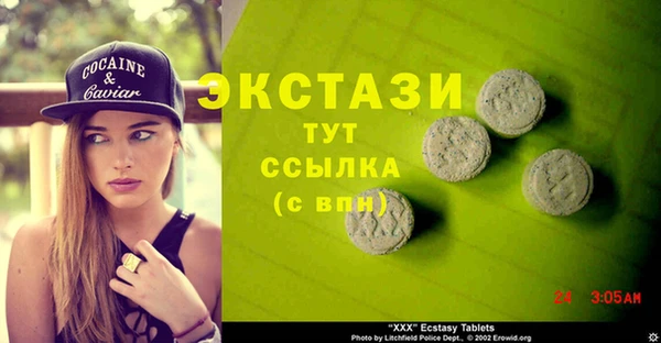 мдпв Инсар