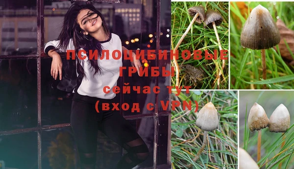 стафф Зерноград