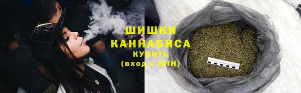 мдпв Инсар
