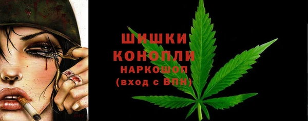 прущая мука Инта
