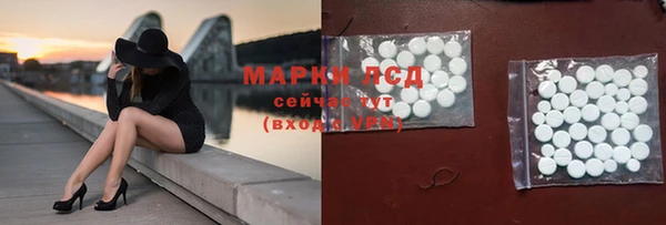 мдпв Инсар