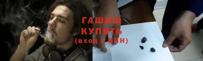 мдпв Инсар