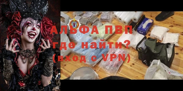 стафф Зерноград