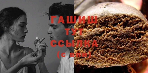 мдпв Инсар