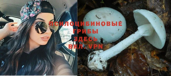 амфетамин Зеленокумск