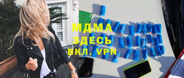 мдпв Инсар