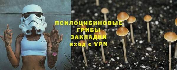 крисы Зеленодольск