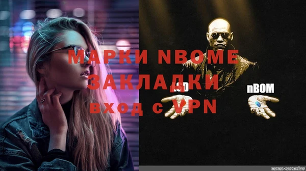 мдпв Инсар