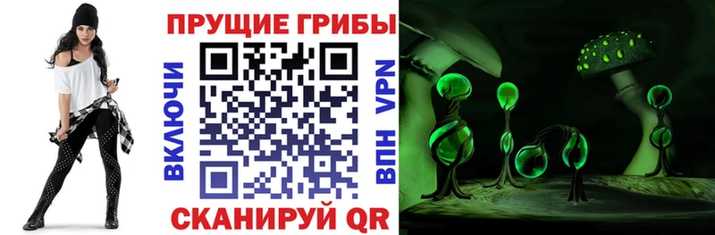 hydra вход  магазин    Инза  Псилоцибиновые грибы прущие грибы 